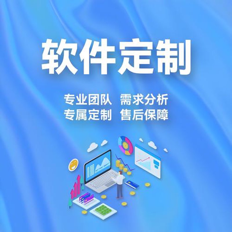 软件定制开发:构建企业专属利器